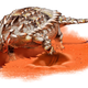 An ankylosaur goes about excavating a defensive depression.